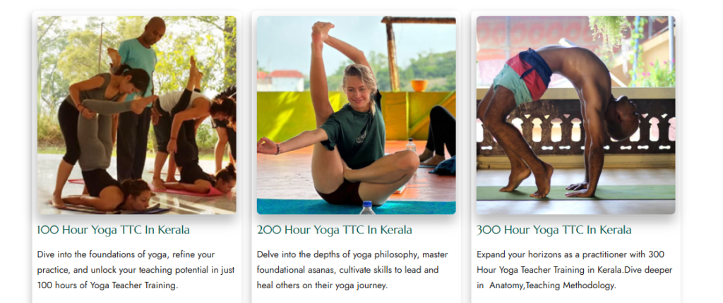 yoga teacher training level